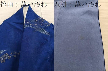 平和屋着物■上質な小紋　菊花文　寿光織　金銀糸　正絹　逸品　BAAY2028mz