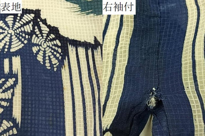 平和屋着物∴夏物　浴衣　綿紅梅　草花文　綿　逸品　BAAY3007hj