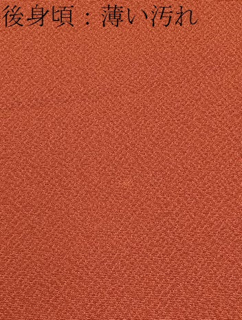 平和屋着物■上質な色無地　銀朱色　正絹　逸品　BAAY3060hj