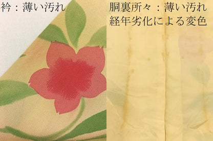 平和屋着物■上質な小紋　草花文　暈し染め　正絹　逸品　BAAY3091hj