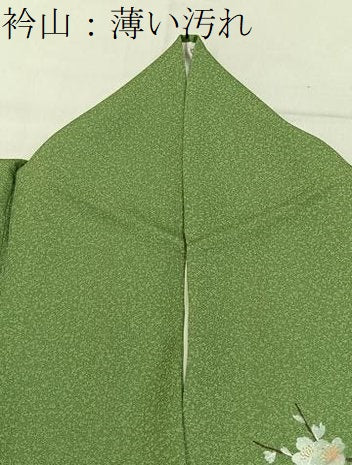 平和屋着物■訪問着　地紙風景花文　暈し染め　金銀彩　正絹　逸品　BAAY3133hj