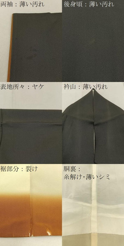 平和屋着物■訪問着　竹屋町刺繍　花蝶文　金彩　正絹　逸品　BAAY3146hj