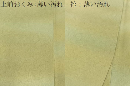 平和屋着物■上質な小紋　霞文　暈し染め　正絹　逸品　BAAY3157hj