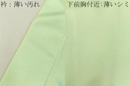 平和屋着物■男性　訪問着　花蝶文　暈し染め　金銀彩　正絹　逸品　BAAY3193hj