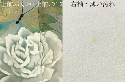 平和屋着物■訪問着　手描き　花蝶文　暈し染め　金彩　正絹　逸品　BAAY3195hj