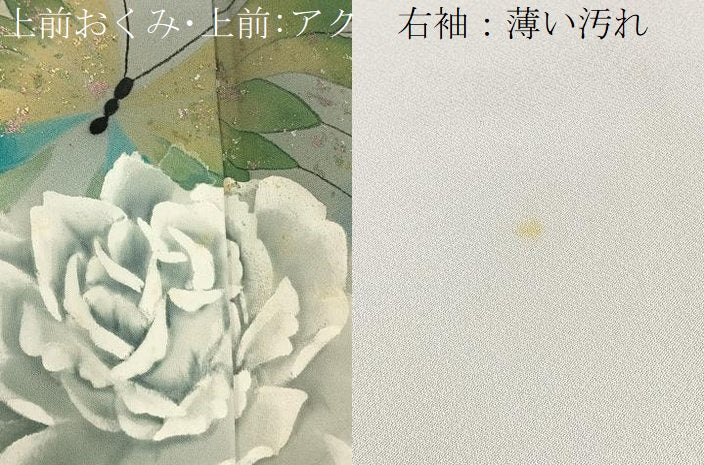 平和屋着物■訪問着　手描き　花蝶文　暈し染め　金彩　正絹　逸品　BAAY3195hj