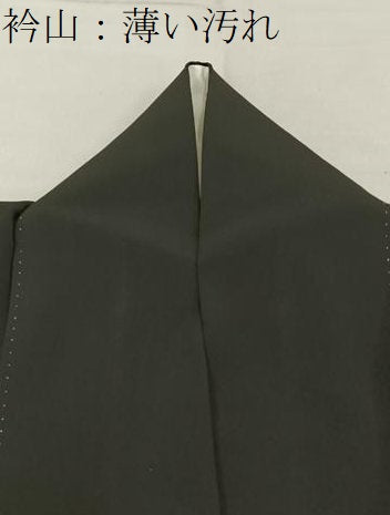 平和屋着物■豪華黒留袖　刺繍　浜松文　暈し染め　金銀彩　正絹　逸品　BAAY3201hj