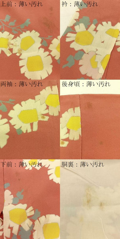 平和屋着物■上質な小紋　草花文　正絹　逸品　BAAY3227hj