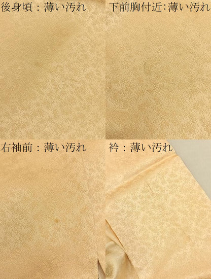 平和屋着物■訪問着　駒刺繍　舞花文　暈し染め　金彩　正絹　逸品　BAAY3228hj