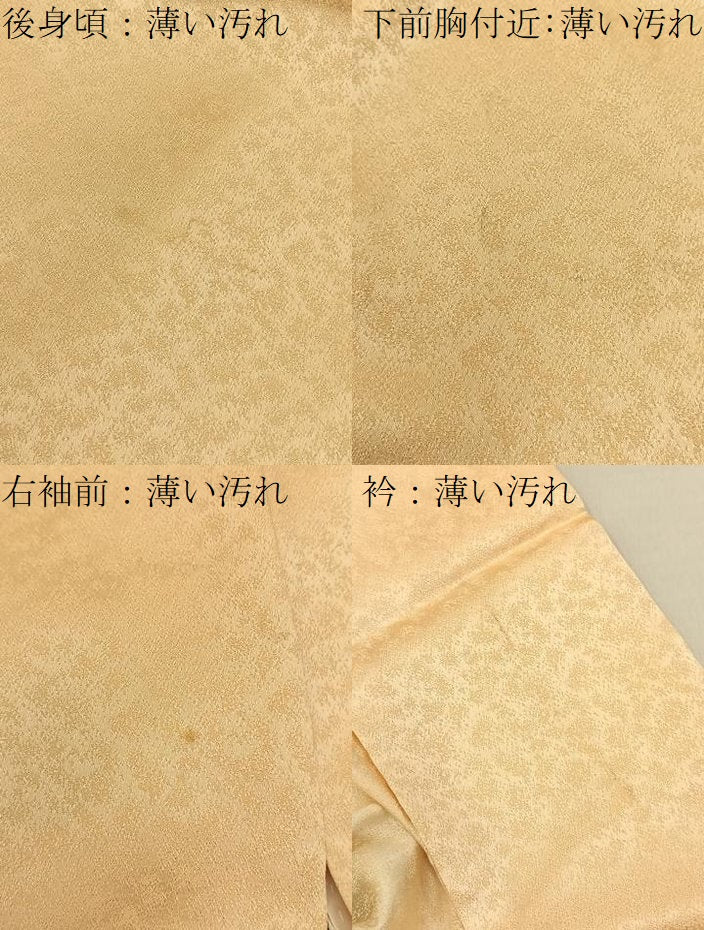 平和屋着物■訪問着　駒刺繍　舞花文　暈し染め　金彩　正絹　逸品　BAAY3228hj