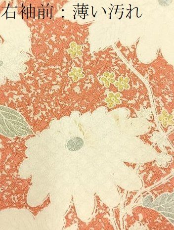 平和屋着物■上質な小紋　花蝶文　正絹　逸品　BAAY3234hj