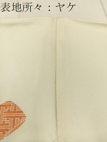 平和屋着物■訪問着　刺繍　誰が袖花文　金彩　ロング丈　正絹　逸品　BAAY3249hj