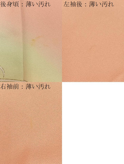 平和屋着物■訪問着　短冊草花文　暈し染め　金銀彩　正絹　逸品　BAAY3253hj