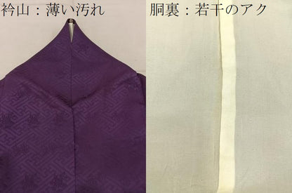 平和屋着物■訪問着　駒刺繍　地紙草花文　金彩　正絹　逸品　BAAY3262hj