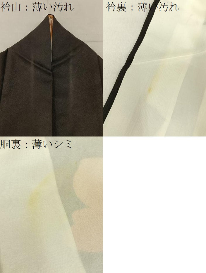 平和屋着物■訪問着　草花文　黒地　金彩　正絹　逸品　BAAY3270hj