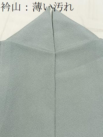 平和屋着物■江戸小紋　鮫小紋柄　正絹　逸品　BAAY3297hj
