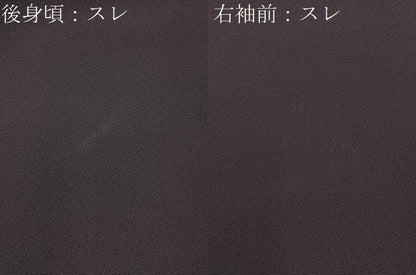 平和屋着物■訪問着　駒刺繍　南天文　暈し染め　正絹　逸品　BAAY3341hj
