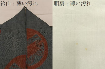 平和屋着物■本場大島紬　7マルキ　絵巻丸文　正絹　逸品　BAAY3371hj