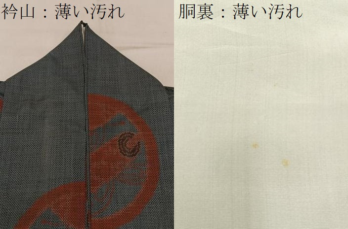 平和屋着物■本場大島紬　7マルキ　絵巻丸文　正絹　逸品　BAAY3371hj