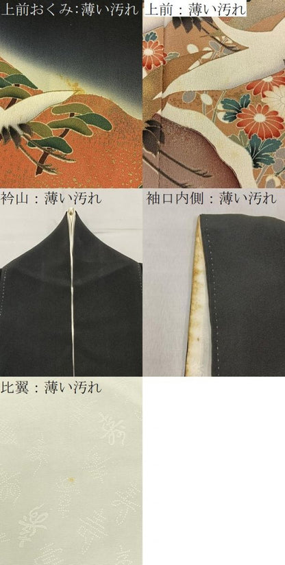 平和屋着物■豪華黒留袖　飛鶴草花文　暈し染め　金彩　正絹　逸品　BAAY3374hj