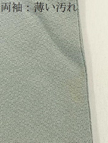 平和屋着物■本草木染作家　圓啓　色無地　薄雲鼠色　正絹　逸品　BAAY3381hj