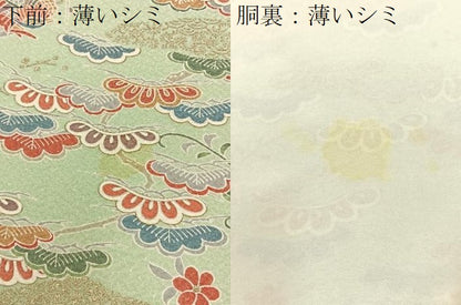 平和屋着物■訪問着　鴛鴦花文　暈し染め　金彩　正絹　逸品　BAAY3384hj