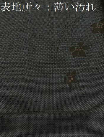 平和屋着物■本場大島紬　9マルキ　草花文　正絹　逸品　BAAY3394hj