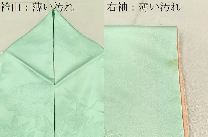 平和屋着物■訪問着　孔雀羽花車文　暈し染め　金彩　洗える着物　BAAY3424hj