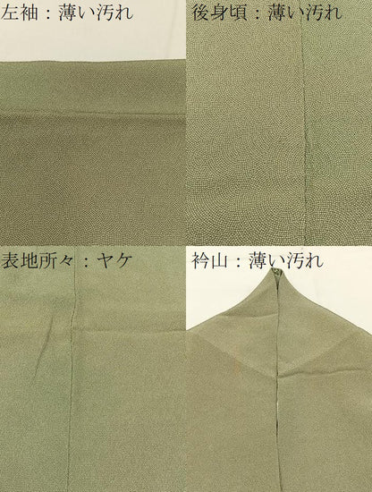 平和屋着物■江戸小紋　極小鮫小紋柄　正絹　逸品　BAAY3462hj