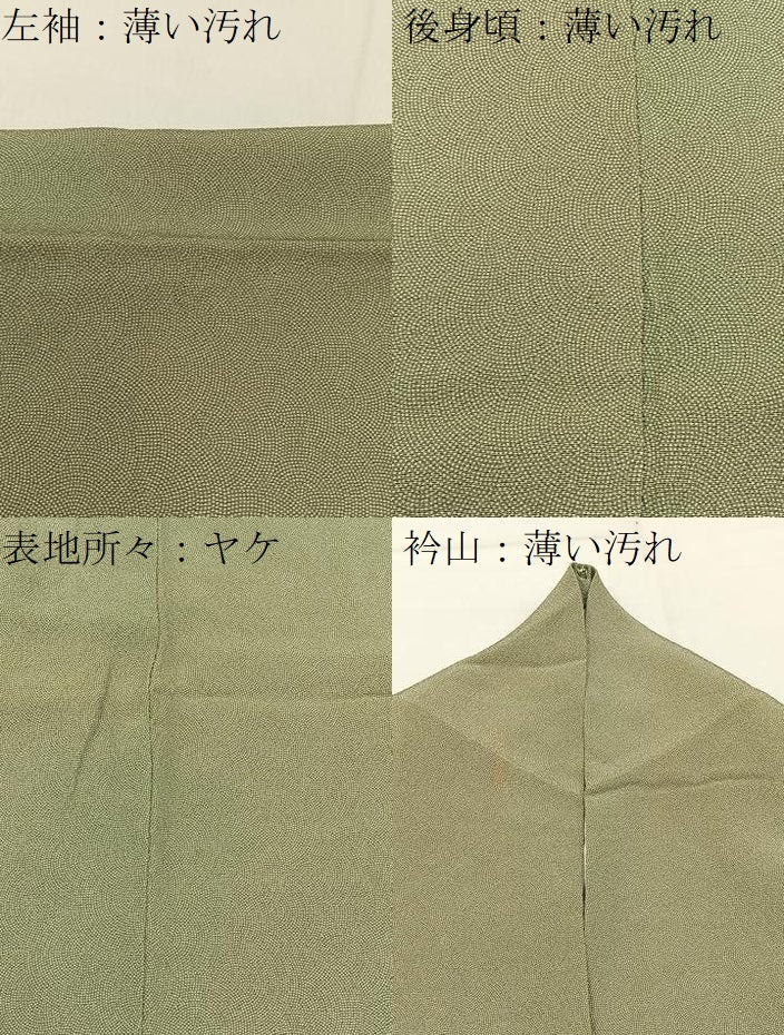 平和屋着物■江戸小紋　極小鮫小紋柄　正絹　逸品　BAAY3462hj