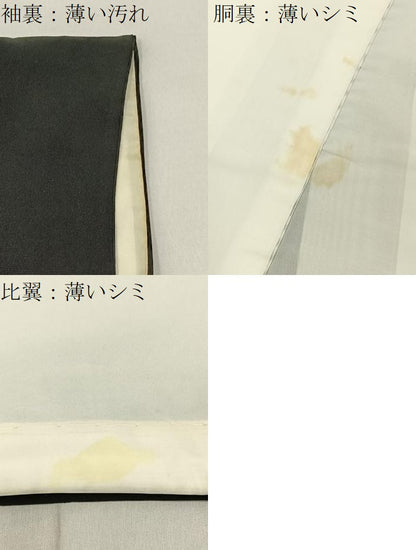 平和屋着物■豪華黒留袖　祇園祭　金彩　正絹　逸品　BAAY3475hj