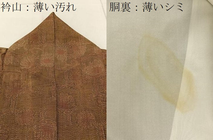 平和屋着物■上質な紬　亀甲菊文　正絹　逸品　BAAY3500hj