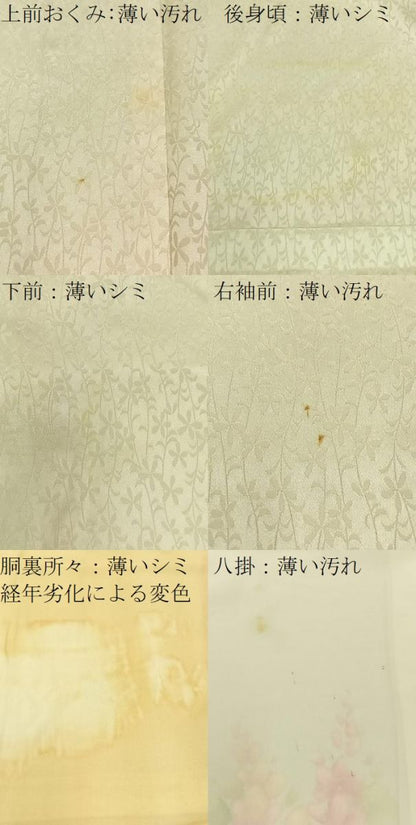 平和屋着物■訪問着　手描き　草花文　金彩　正絹　逸品　BAAY3505hj