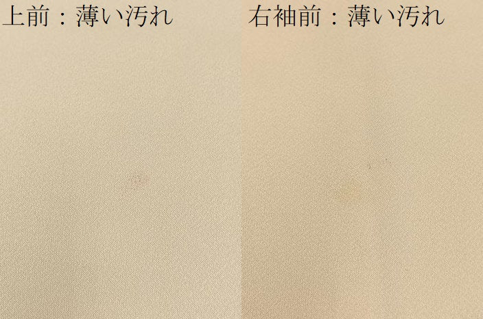 平和屋着物■訪問着　有職花鳥文　金彩　正絹　逸品　BAAY3513hj