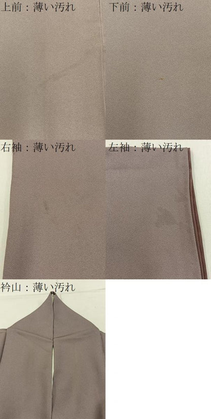 平和屋着物■訪問着　清水寺　暈し染め　金彩　正絹　逸品　BAAY3567hj