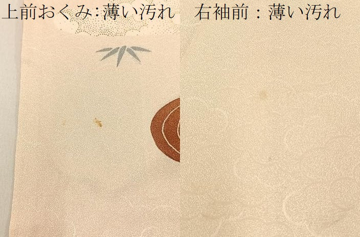 平和屋着物■訪問着　流水草花文　金彩　正絹　逸品　BAAY3575hj