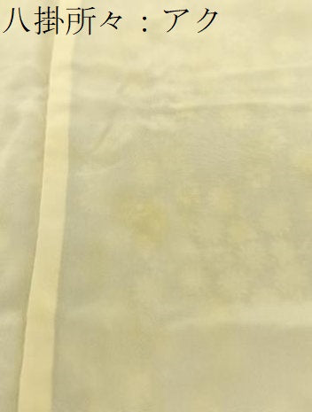 平和屋着物■上質な小紋　紬地　型染め　小花　正絹　逸品　BAAY3646hj