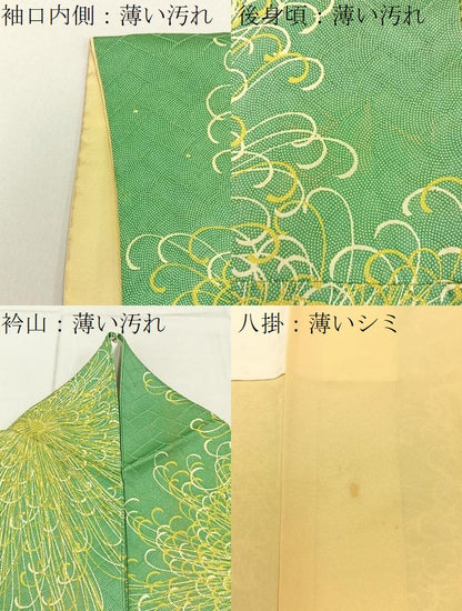 平和屋着物■上質な小紋　乱菊　正絹　逸品　BAAY3647hj