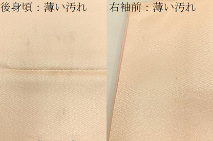 平和屋着物■訪問着　絞り　刺繍　紅白椿　金彩　正絹　逸品　BAAY3656hj