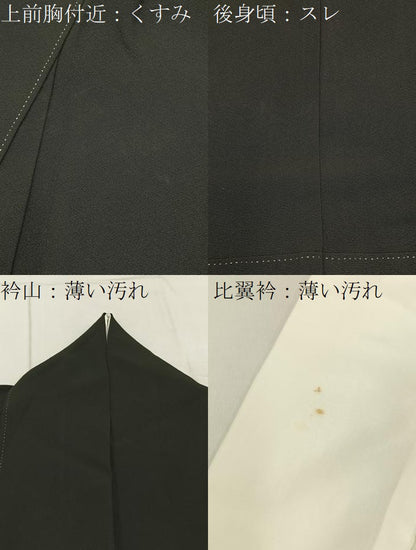 平和屋着物■豪華黒留袖　友禅　群鶴風景文　正絹　逸品　BAAY3660hj