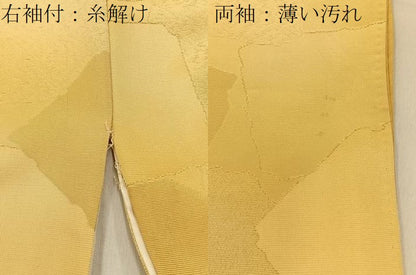 平和屋着物■訪問着　手描き　破れ色紙風景花文　金通し地　東武百貨店扱い　正絹　逸品　BAAY3677hj