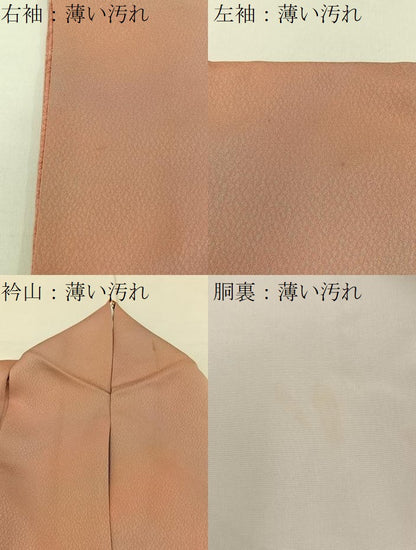 平和屋着物■色留訪問着　総刺繍　飛鶴文　暈し染め　正絹　逸品　BAAY3685hj