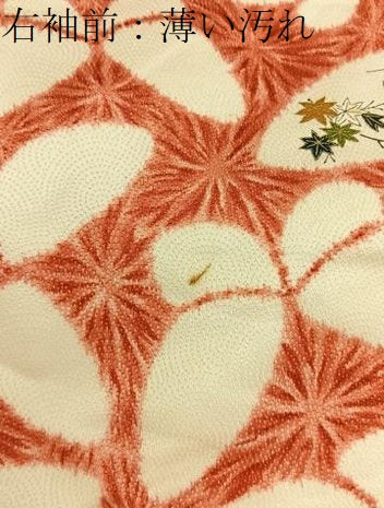 平和屋着物■上質な小紋　花蝶文　金彩　正絹　逸品　BAAY3701hj