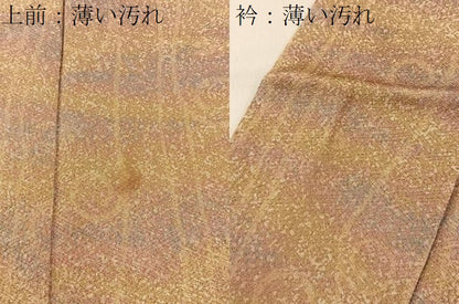 平和屋着物■上質な小紋　唐草文　正絹　逸品　BAAY3718hj