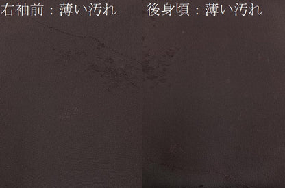 平和屋着物■上質な色無地　枝花地紋　黒鳶色　正絹　逸品　BAAY3734hj
