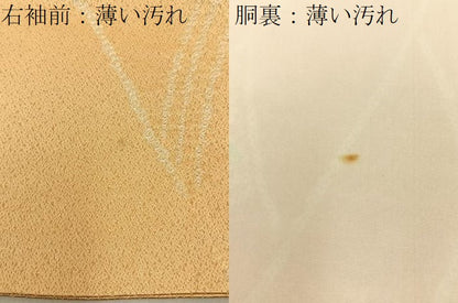 平和屋着物■上質な小紋　絞り　有職文　正絹　逸品　BAAY3735hj