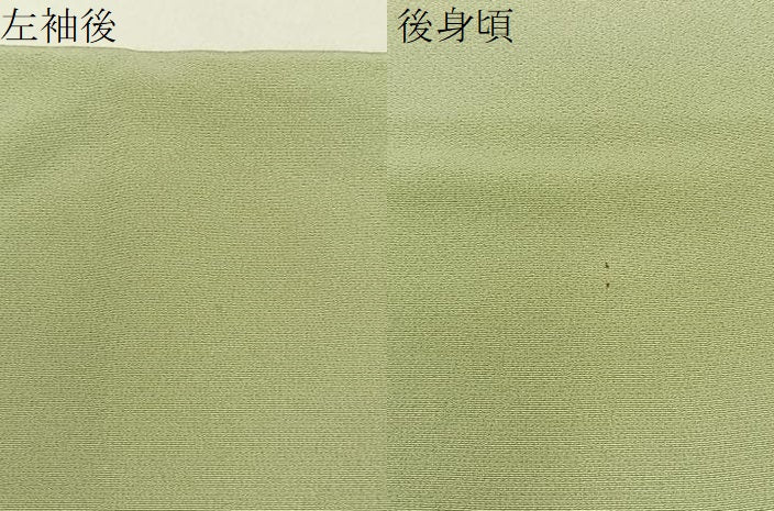 平和屋着物●訪問着　童子遊び　暈し染め　金彩　正絹　逸品　BAAY3736hj