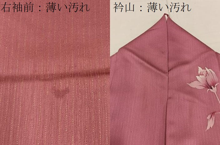 平和屋着物■訪問着　手描き　花鳥文　暈し染め　正絹　逸品　BAAY3758hj