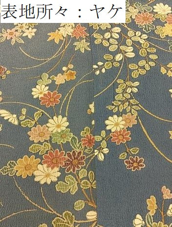 平和屋着物■上質な小紋　草花文　金彩　鬼しぼ縮緬　正絹　逸品　BAAY3760hj