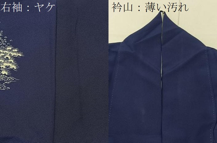 平和屋着物■訪問着　名所風景文　正絹　逸品　BAAY3761hj